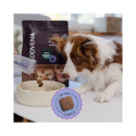 ADDVENA Boosted by superfoods Adult Medium/Large Beef - dry dog food - 2,5kg