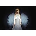 Blaster Creative Kit â Wings