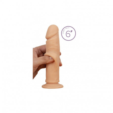DANTE 6", lihatoon