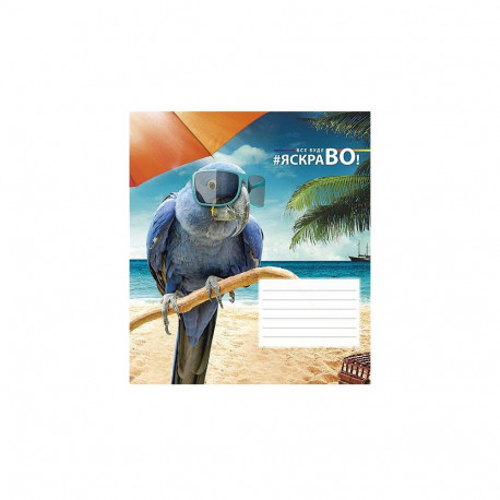NOTEBOOK 12 PAGES WITH SQUARES 72061