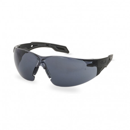 Safety glasses Pegaso Omnis 205.02 dark