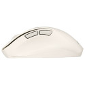 "Asus Wireless Mouse MD105 white"