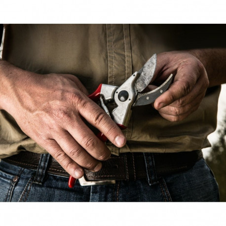Felco 2 pruning shears Anvil Red