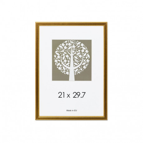 Pildiraam SAVEX 21x29,7cm, plast, kuld