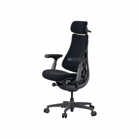 LiberNovo Omni Dynamic 45 cm Ergonomic Chair (Black)