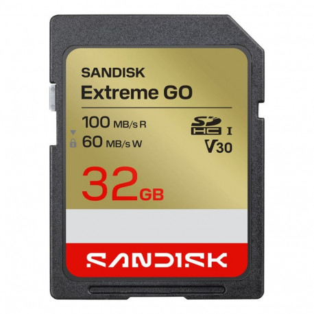 SanDisk mälukaart Extreme GO 32GB SDHC UHS-I