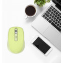 WM-450 wireless mouse green