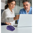 WM-450 multi device mouse blue