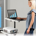 Projector stand with two shelves
