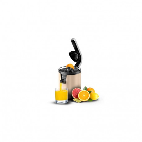 Cecotec Xqueeze RetroJuice 600 Slow juicer 600 W Beige, Black, Stainless steel