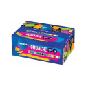 GOUACHE PAINTS 12COLX20ML