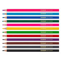 COLOUR PENCILS PLASTIC 12COL CAPYBARA