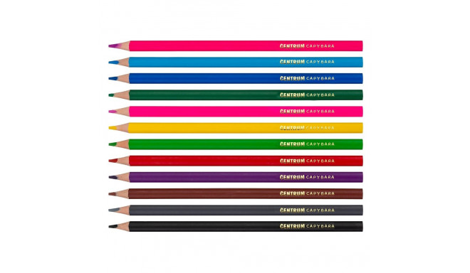 COLOUR PENCILS PLASTIC 12COL CAPYBARA