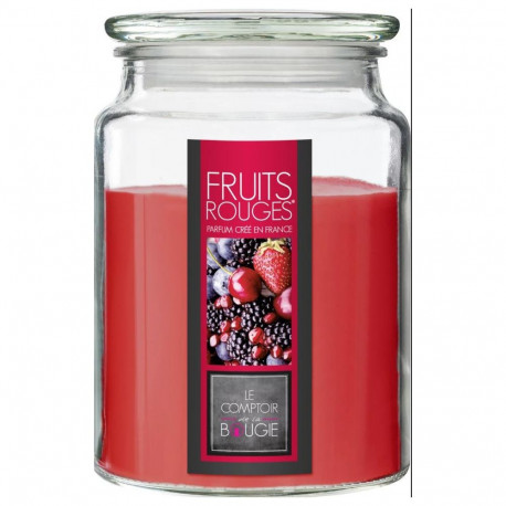 CANDLE SCENT NINA FRU GLASS 157747H 510G