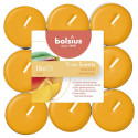 teeküünlad 18tk, mango lõhnaga