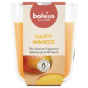 mango-lõhnaline küünal H9.7cm D8.5cm
