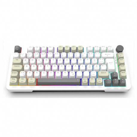 Inca IKG-455 keyboard Gaming USB + RF Wireless + Bluetooth QWERTY German White