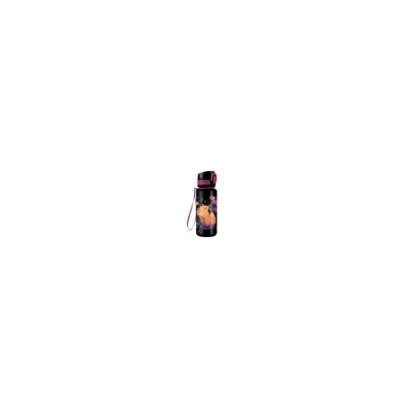Coolpack veepudel CAPYBA/MUSIC 400ML