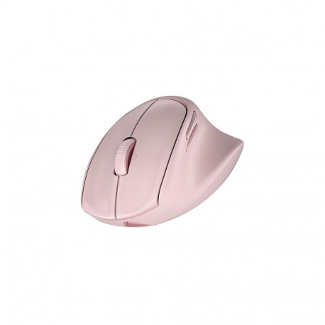 HP Tilt Ergo PNK MSE 720M EMEA-INTL EN L mouse Home Right-hand RF Wireless + Bluetooth 6000 DPI