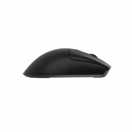 GENESIS Zircon 880