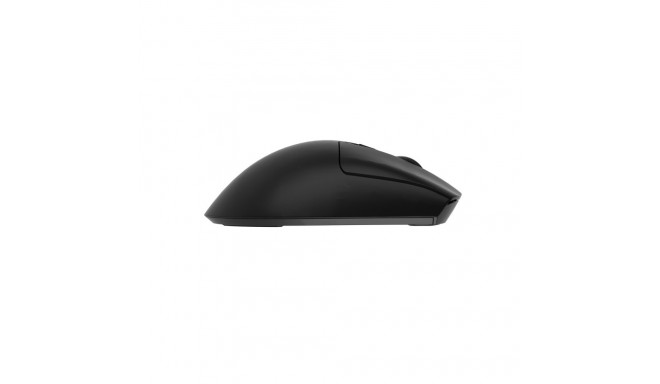 GENESIS Zircon 880