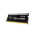 G.Skill | Ripjaws | 32 GB | DDR5 | 4800 MHz | PC/server | Registered No | ECC No
