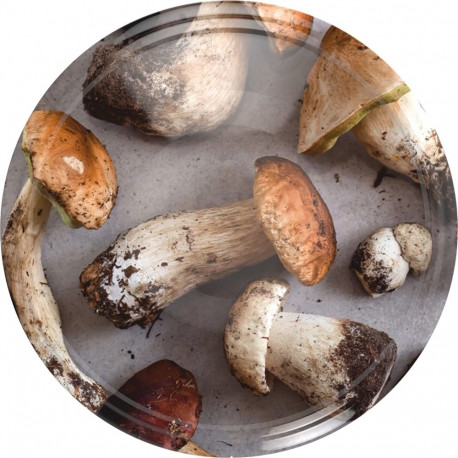 Browin Twist-off lids Ø66, mushroom design, 10 pcs, 136323, 9.5g, 4 serrations