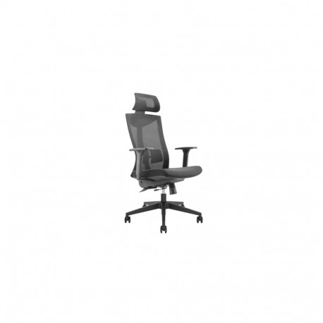 Office Chair with Headrest and Lumbar Support