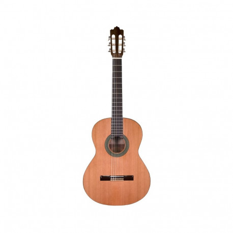 Prodipe Guitars klassikaline kitarr Recital 300 4/4
