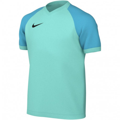 Nike laste t-särk Dri-FIT Trophy VI HV8158 354 L, mündiroheline