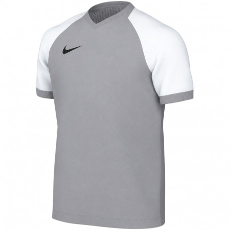 Nike laste t-särk Dri-FIT Trophy VI HV8158 012 L, hall