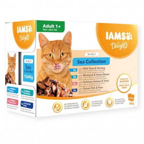 IAMS DELIGHTS Adult Sea in Jelly box – wet cat food – 12x85g