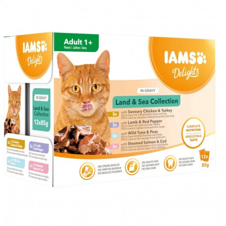 IAMS DELIGHTS Land & Sea Collection in Gravy box – wet cat food – 12x85g