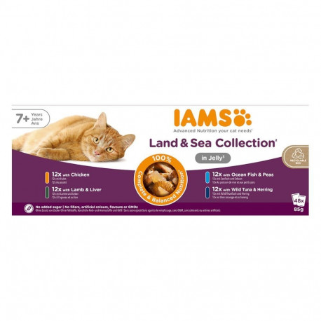 IAMS Senior Meat & Fish Mix in Jelly box – wet cat food – 48x85g