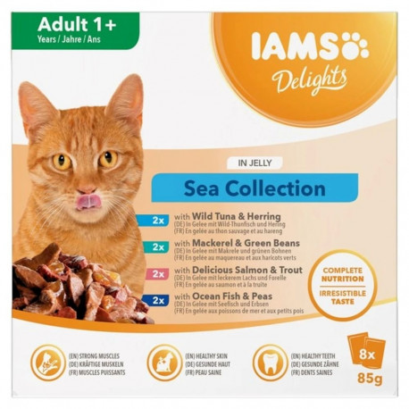 IAMS DELIGHTS täiskasvanud märg kassitoit mereline želatiinis karp 8x85g