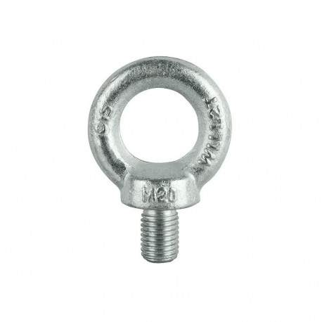SCREW-LOOP DIN580 M20 ZN(5)