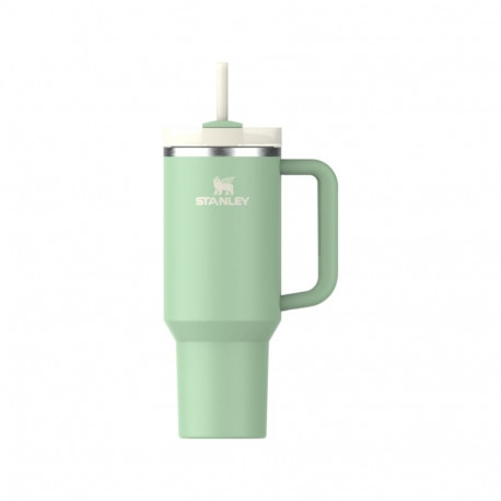 Termokruze ar salminu The Quencher H2.O FlowState Tumbler 1.18L pistaciju krasa  1200185007033