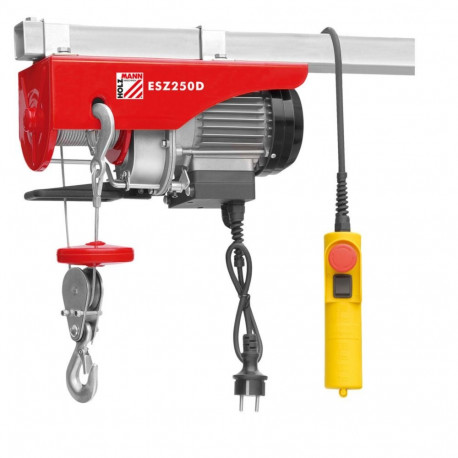 Holzmann elektriline tõstuk ESZ250D_230V 250kg