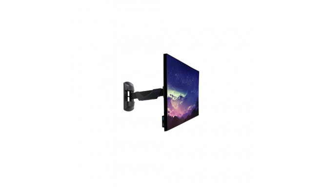 Lindy Fixed Single Display Wall Mount