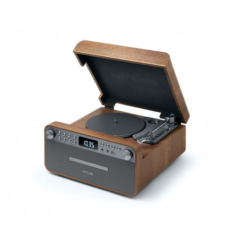 MUSE TURNTABLE MICRO SYSTEM