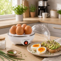 EKE001 Esperanza jajowar egg master