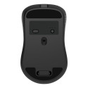 MOUSE USB OPTICAL WRL/MUSW2-7B-01 GEMBIRD