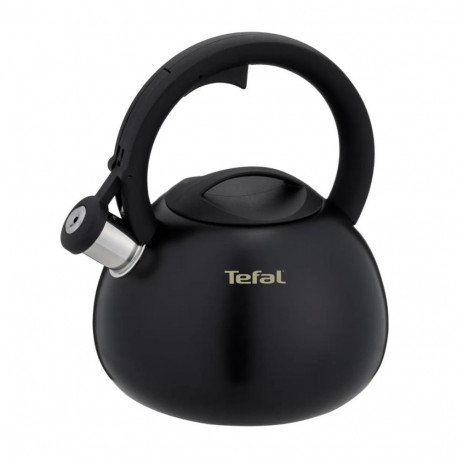 Non-Electric Kettle TEFAL N4180410, Black, Matte
