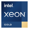 "Intel S4677 XEON GOLD 6542Y TRAY"