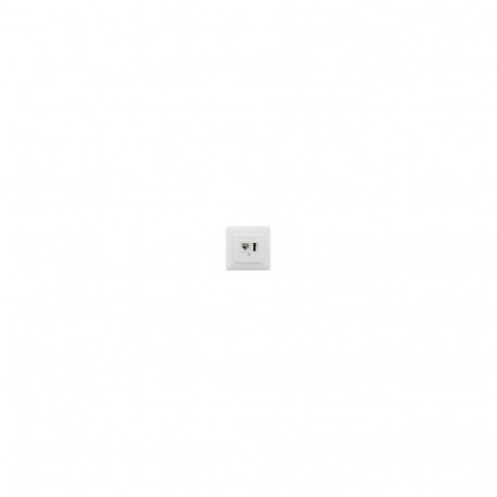 "Rutenbeck Dose, UP, IAE/UAE, 1xRJ45 6pol. + TAE, Reinweiss, IAE/UAE 8 (6)-TAE 6 F+N Up, mit Abdeckr