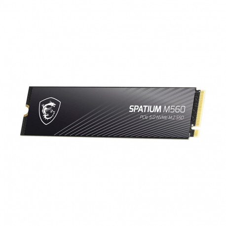 MSI M.2 NVMe ssd Spatium M560 2TB PCIe Gen5 x4 (M.2 2280)