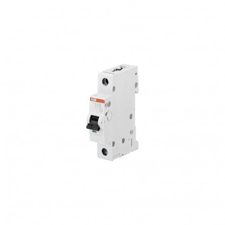 "Compact Automat S201-C10 62 1-polig GH S201 0001 R0104"