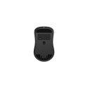 Wireless Mouse - GEMBIRD MUSW2-7B-01 1600 DPI 7-Button Black