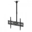 Ceiling Mount for TV MC-173