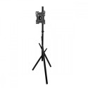 TV floor stand MC-181 B